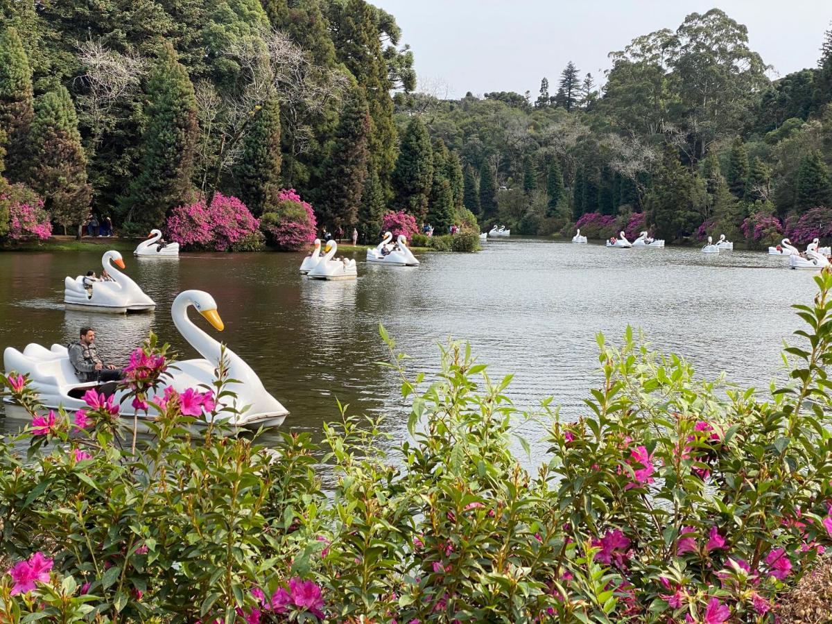 2 Suite, 1 Dormitorio Em Meio A Mata Araucaria A 1,5 Km Centro, Altos De Gramado Ngoại thất bức ảnh