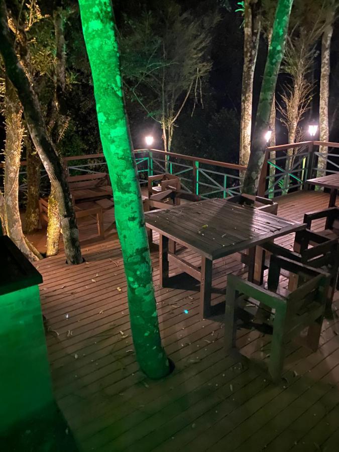 2 Suite, 1 Dormitorio Em Meio A Mata Araucaria A 1,5 Km Centro, Altos De Gramado Ngoại thất bức ảnh